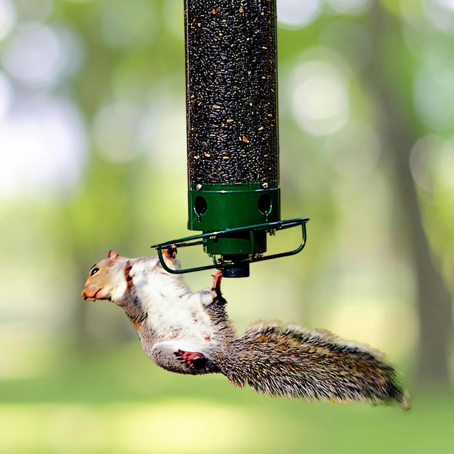 Eichhörnchensicher Vogelfutterspender Mehrere Futteröffnungen