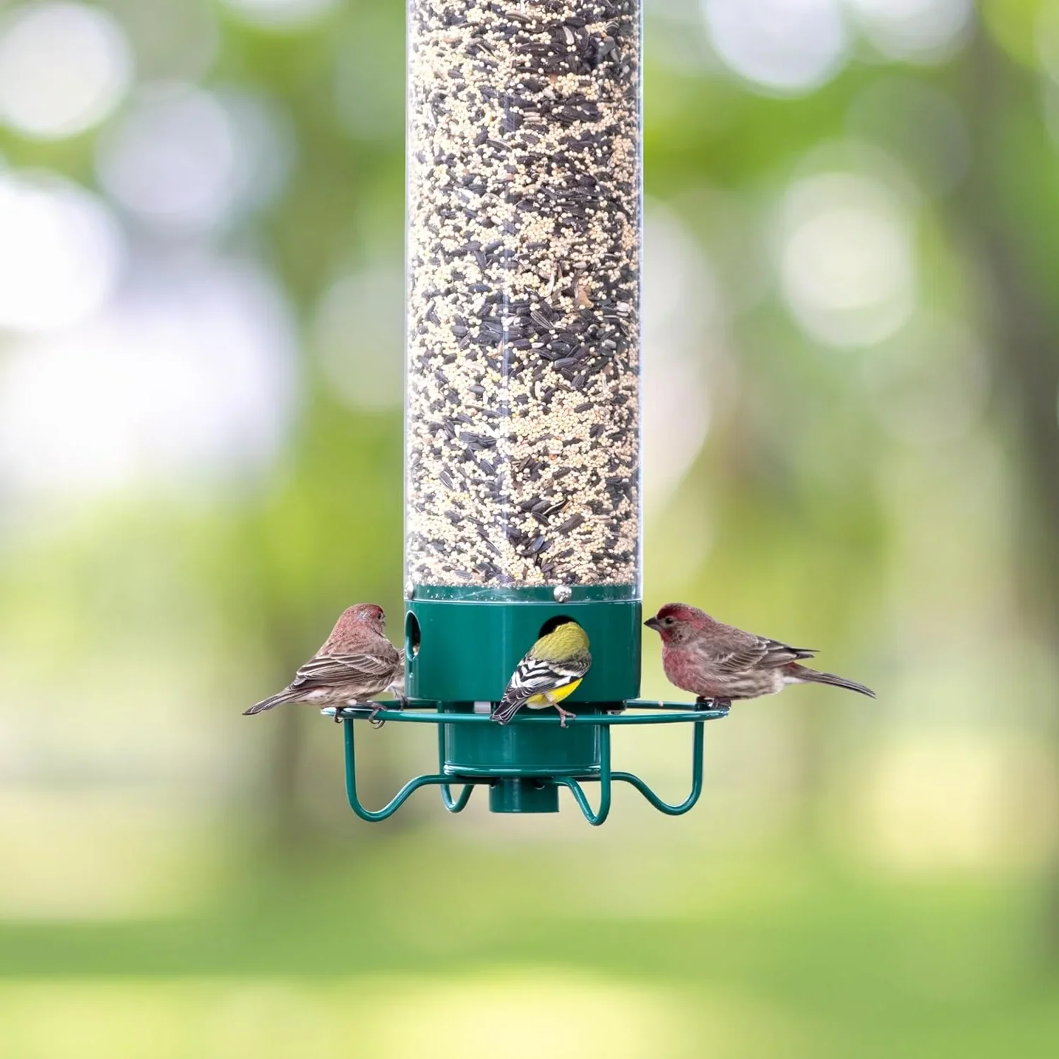 Eichhörnchensicher Vogelfutterspender Mehrere Futteröffnungen - Image 2