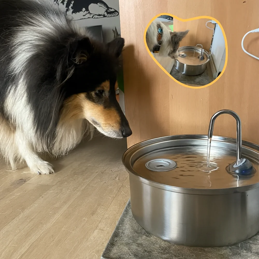 Hunde Trinkbrunnen Edelstahl Automatisch Leise Hygienisch Napf - Image 4