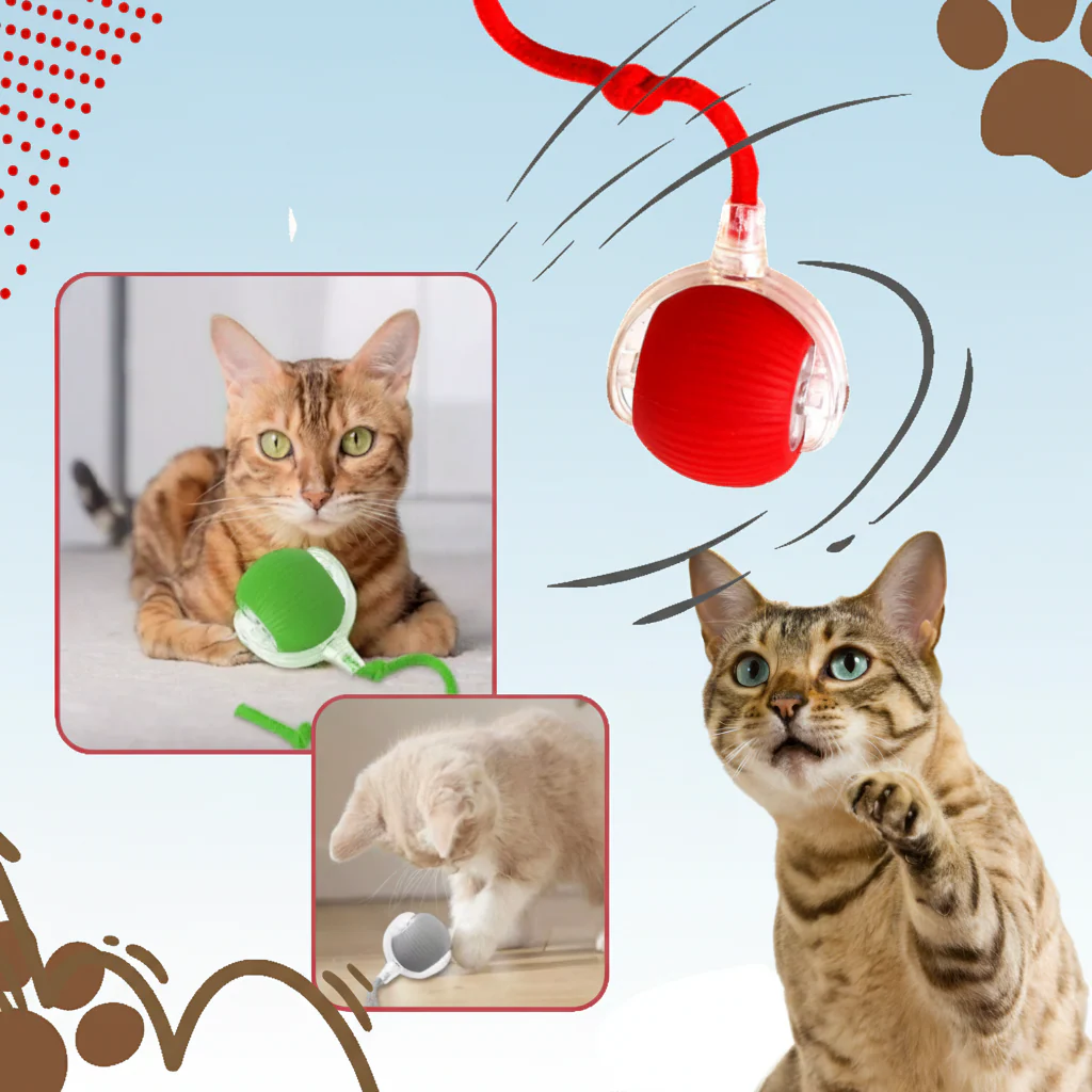 Interaktives Katzenspielzeug Ball Spielzeug Katzen - Image 2