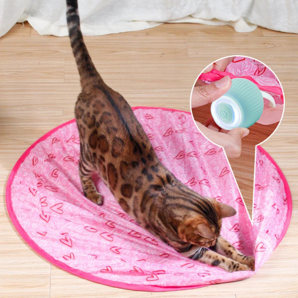 Katzen Ball Spielzeug Interaktive Spielzeugkugel Haustiere - Image 6